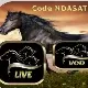 تطبيق NDASAT iptv | كود تفعيل Code NDASAT الجديد 2024